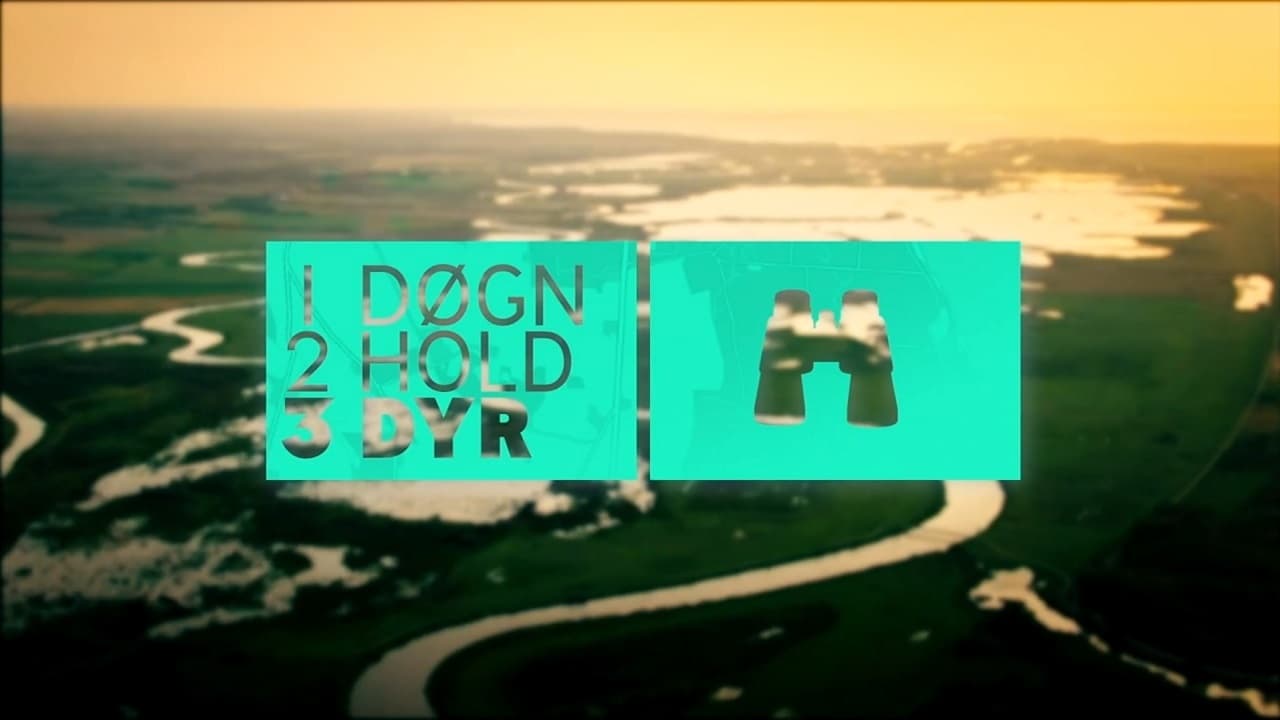 1 døgn, 2 hold, 3 dyr