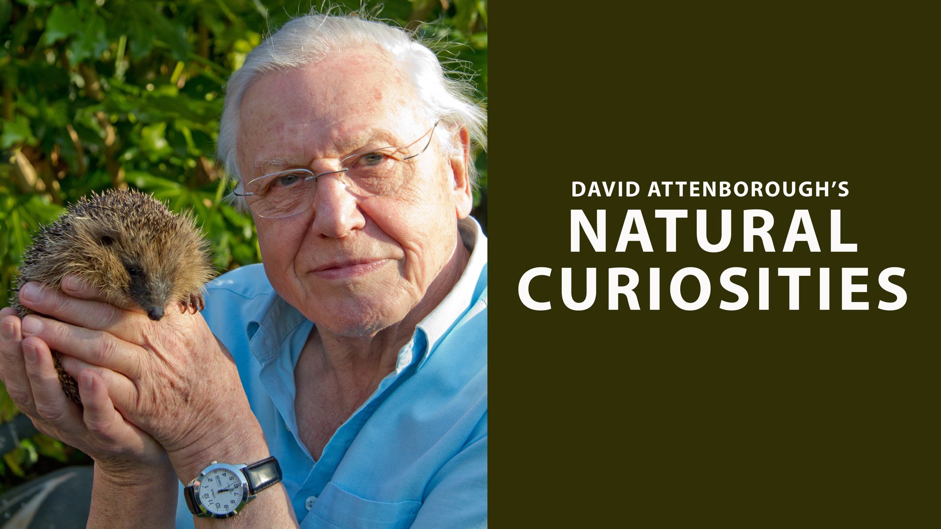 David Attenborough og naturens gåder