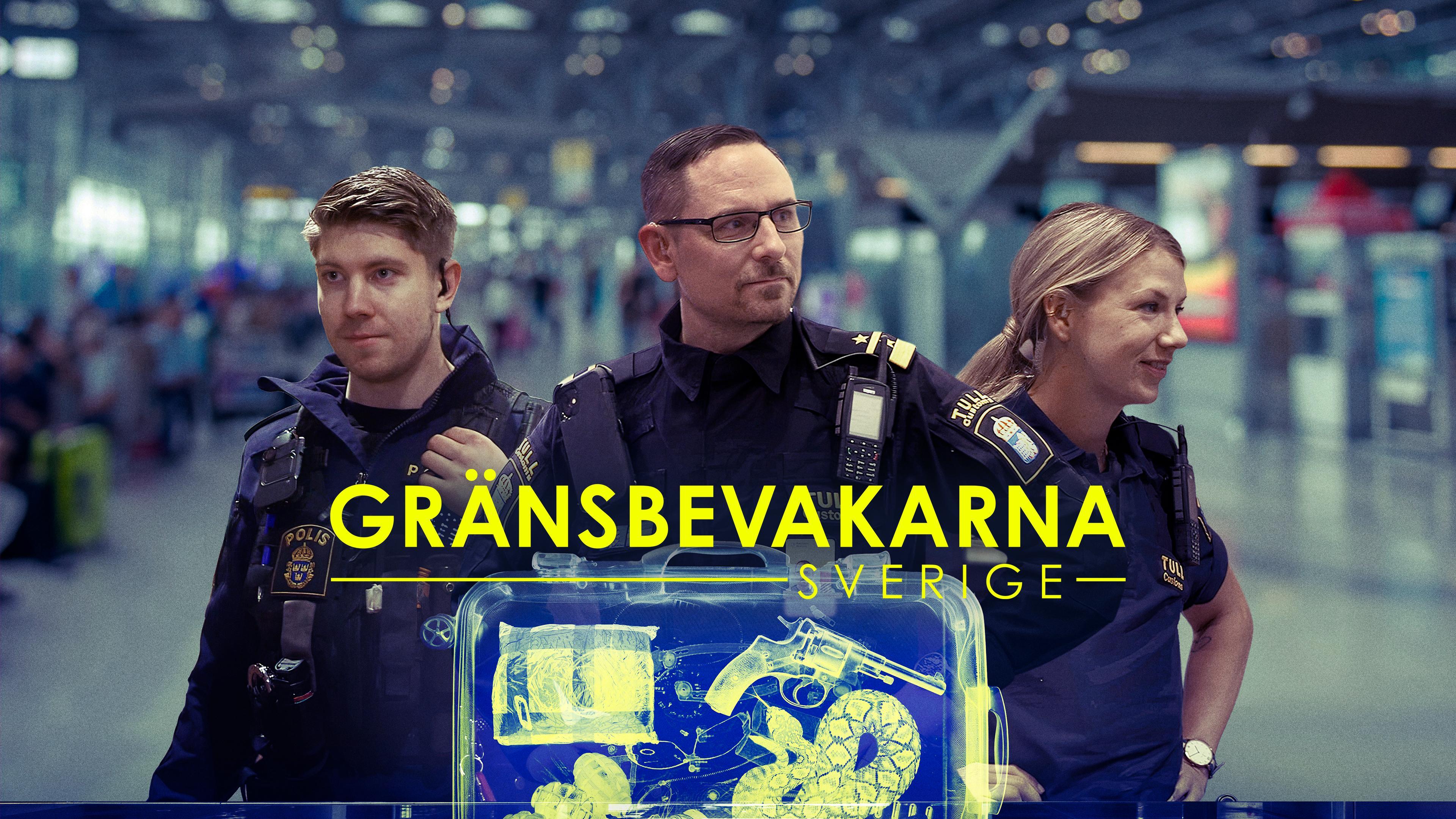 Border Control Sweden