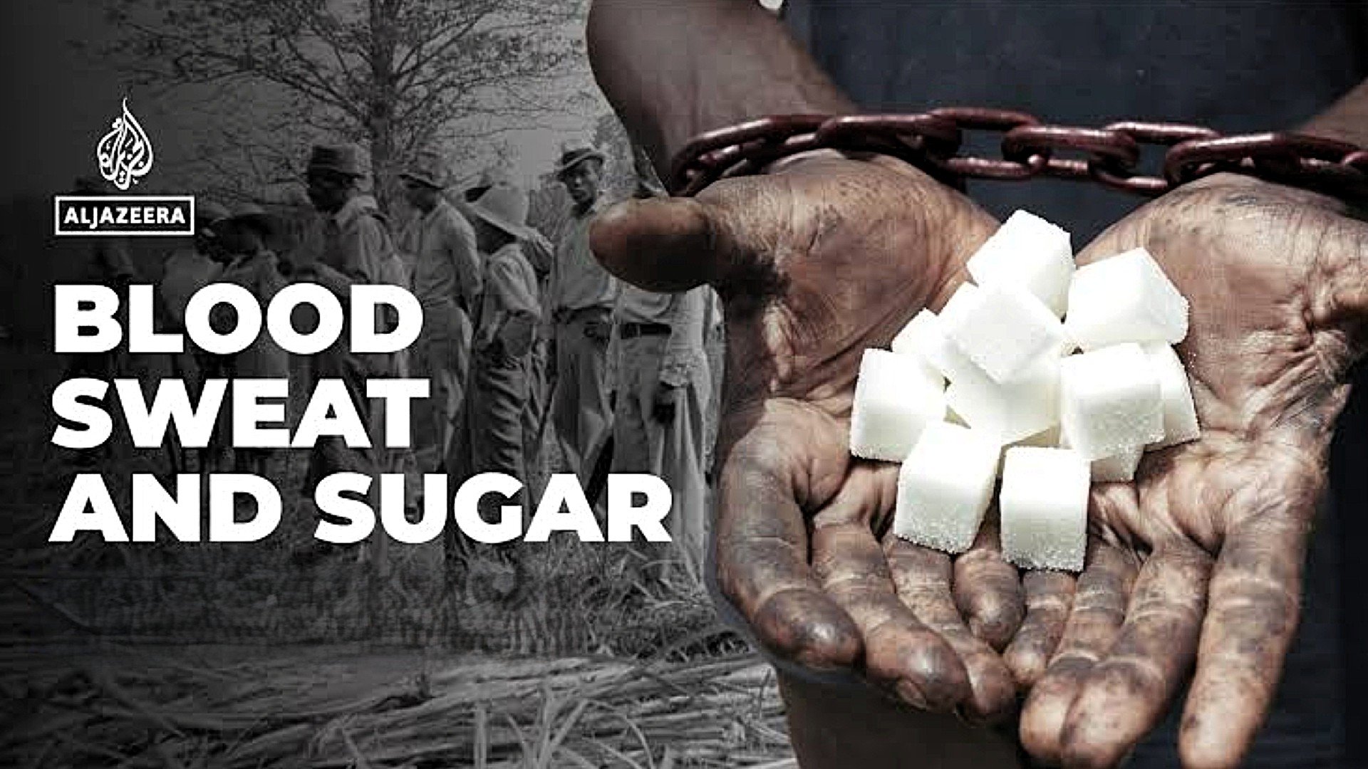 Blood, Sweat and Sugar