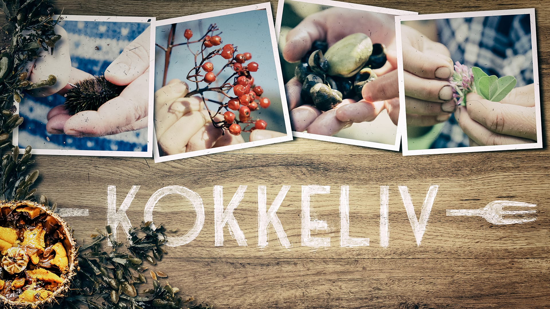 Kokkeliv