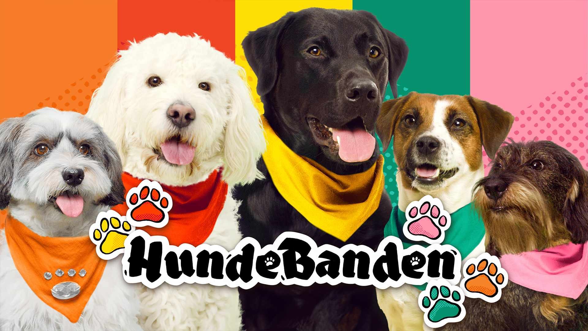 HundeBanden