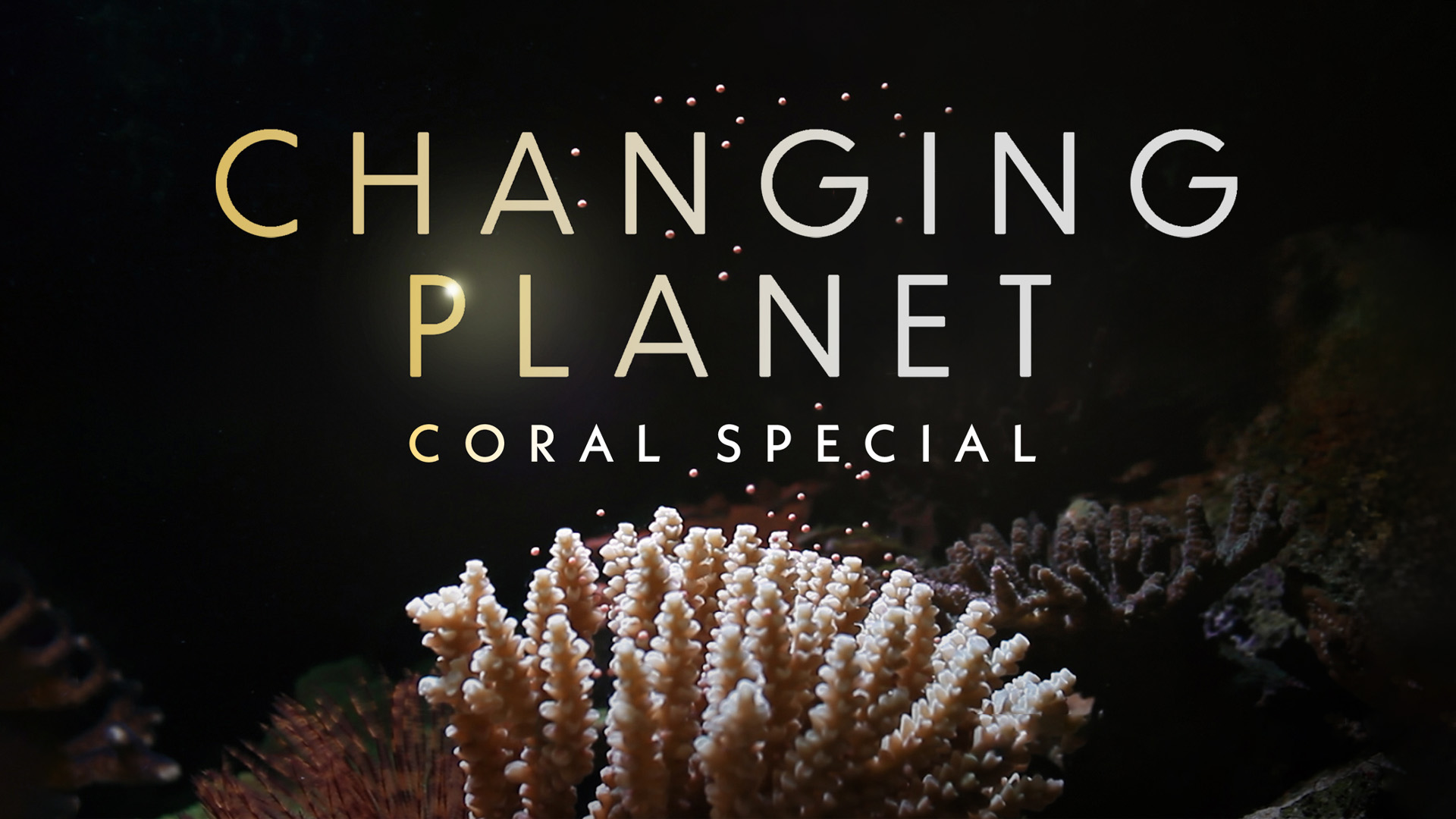 Changing Planet: Coral Special