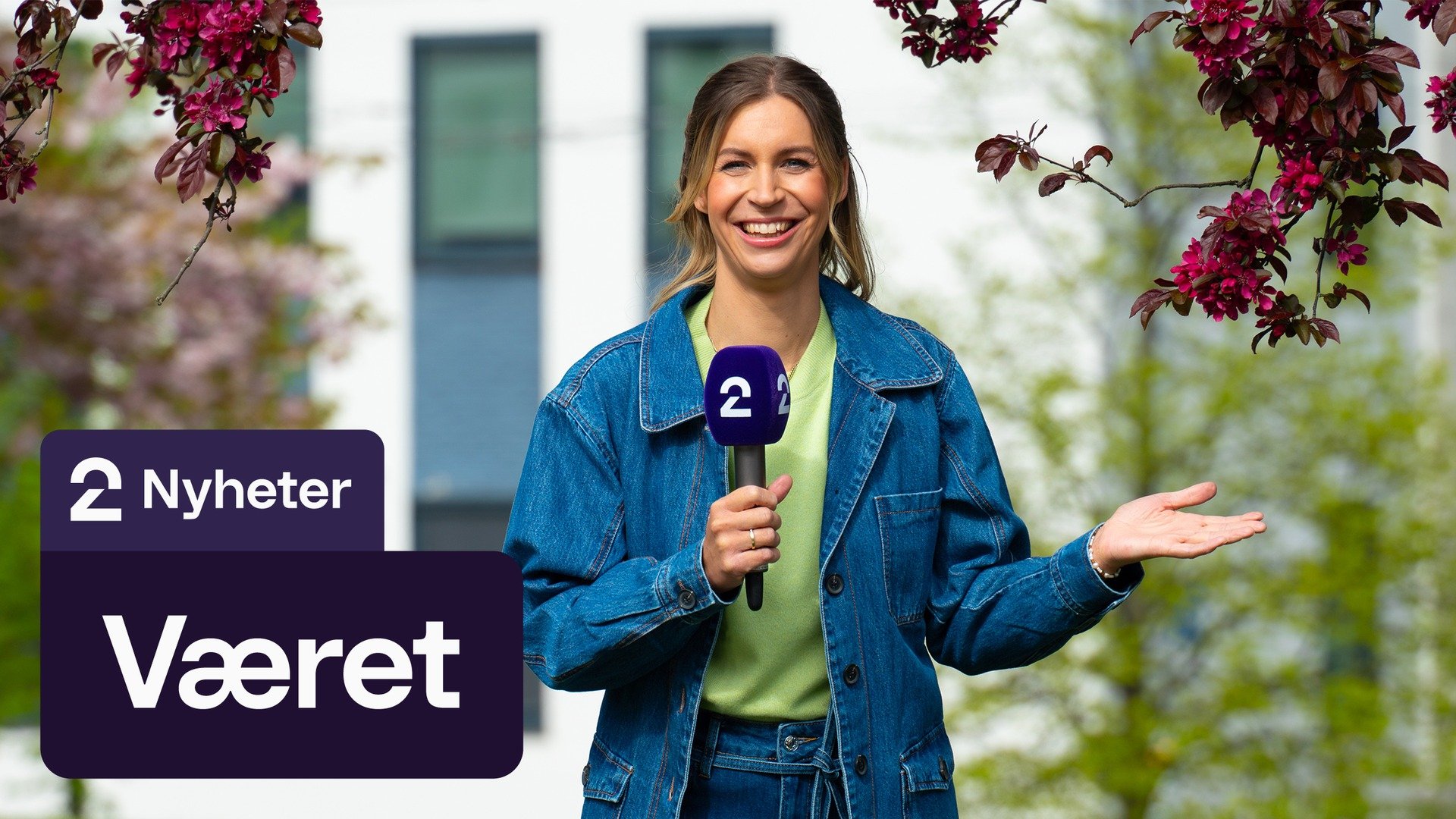 Været