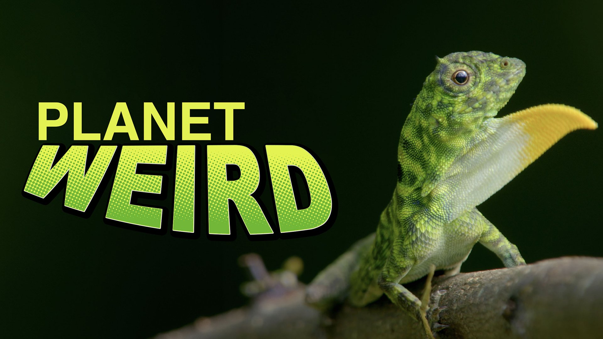 Den sære planet