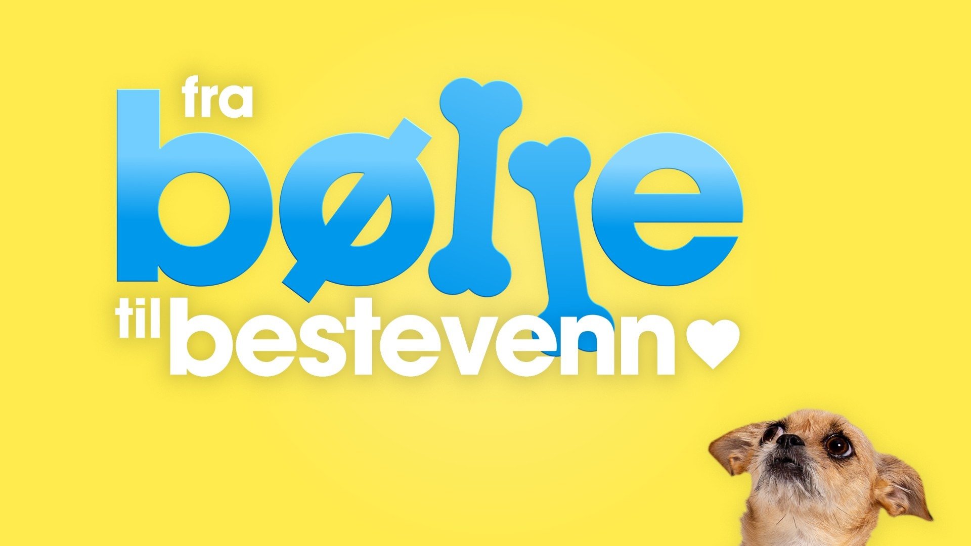 Fra bølle til bestevenn