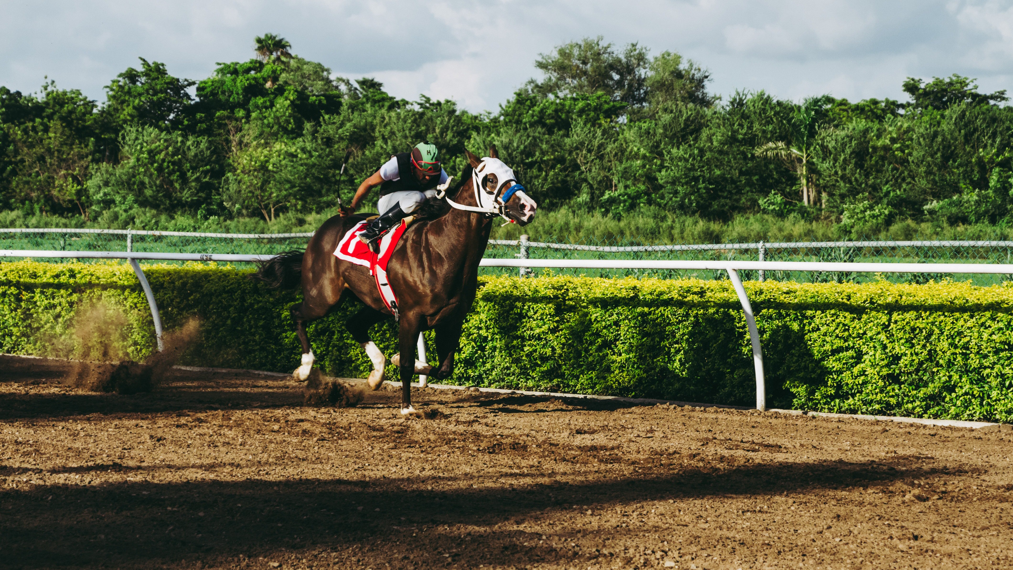 LIVE galopp - Jägersro galopp