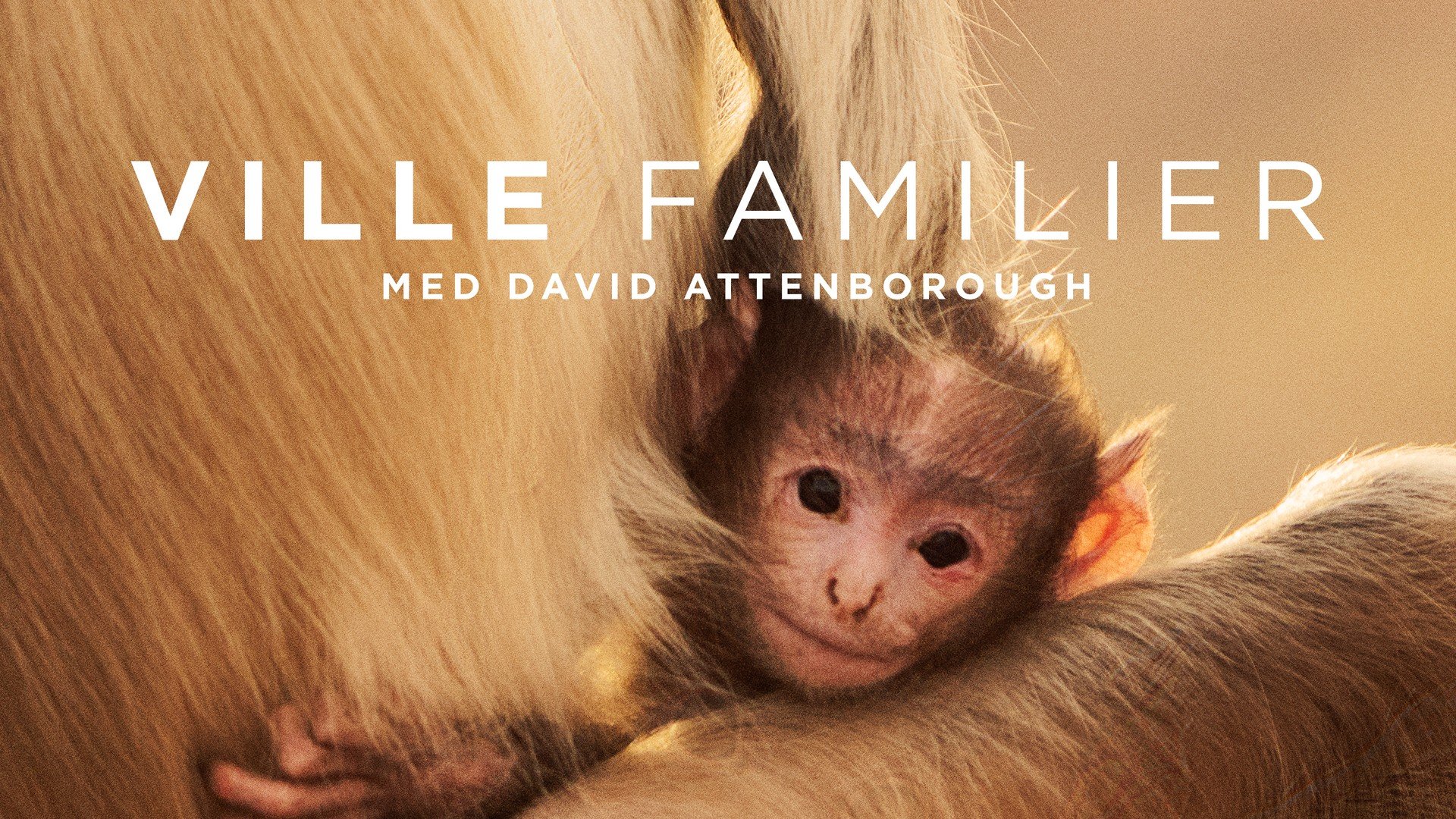 Ville familier