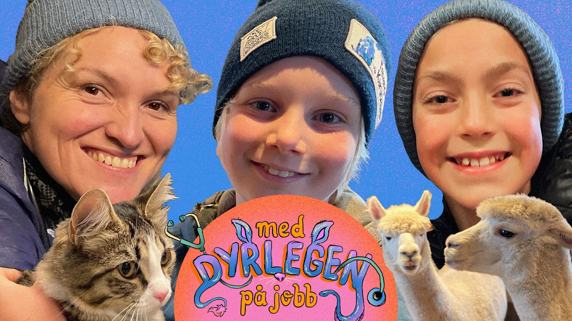 Med dyrlegen på jobb
