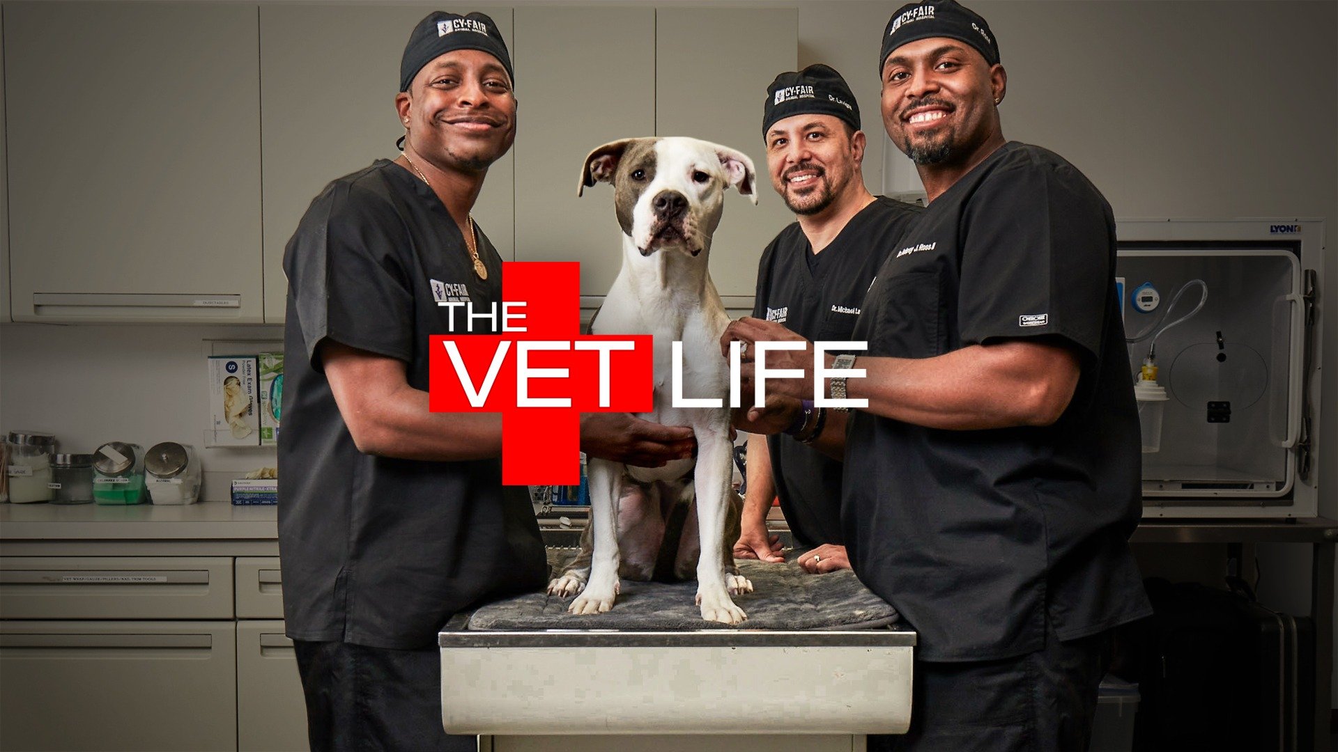 The Vet Life