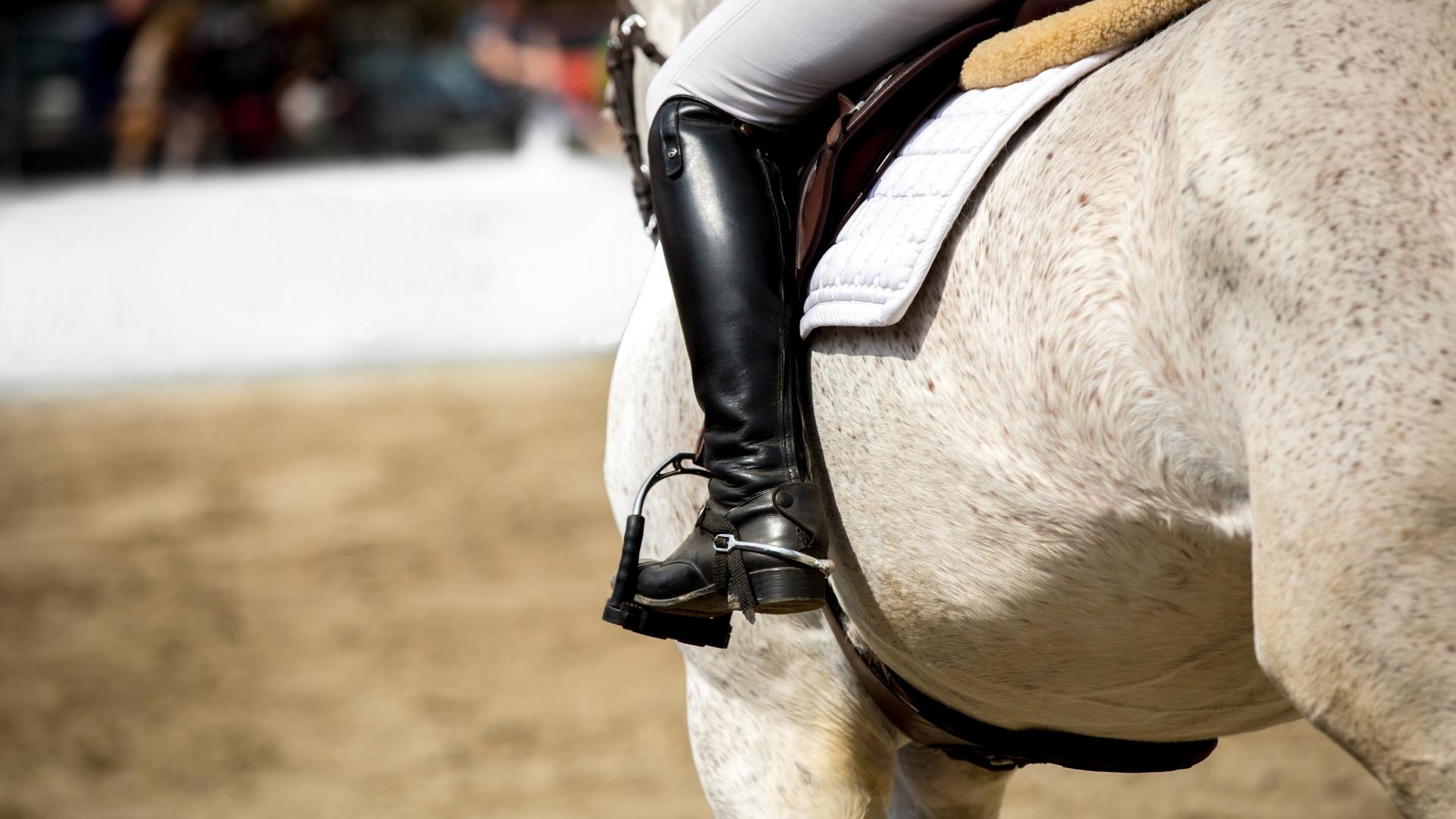 Ride FEI Originals