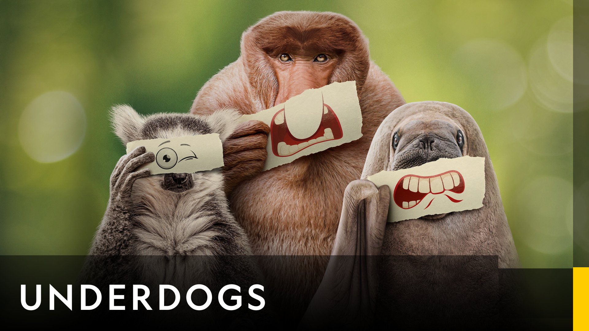 Underdogs