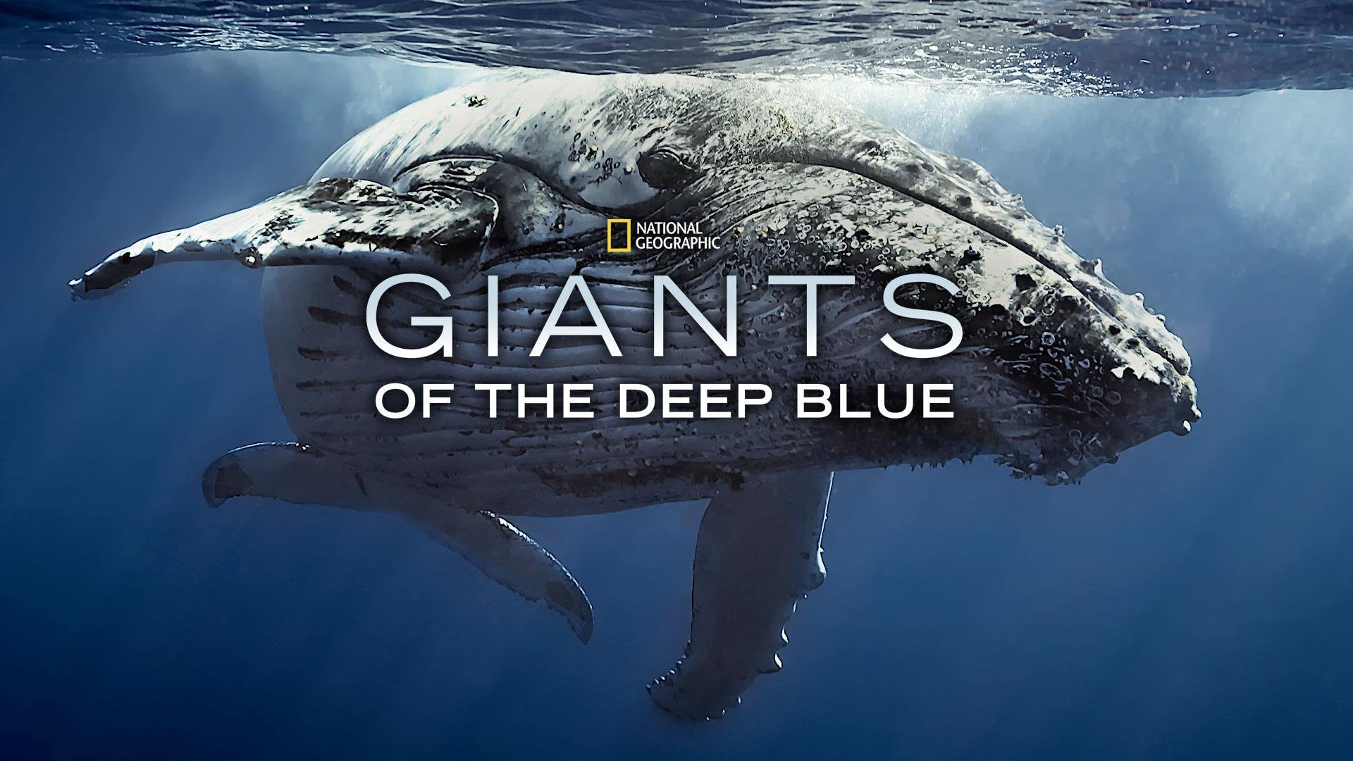 Giants of The Deep Blue
