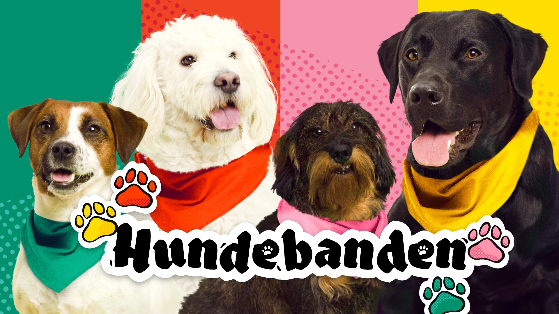 Hundebanden