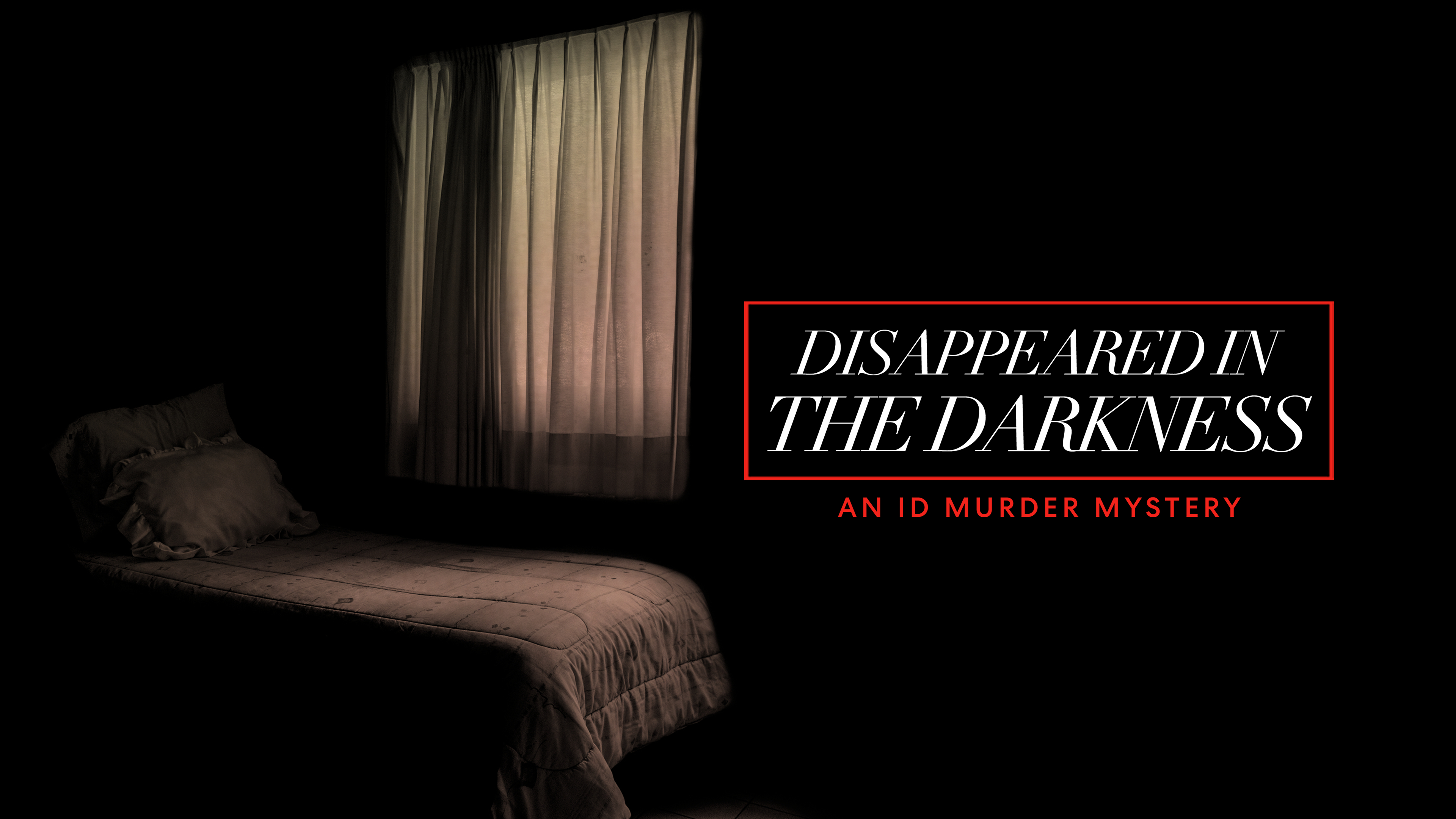 Disappeared In The Darkness: An ID Mystery