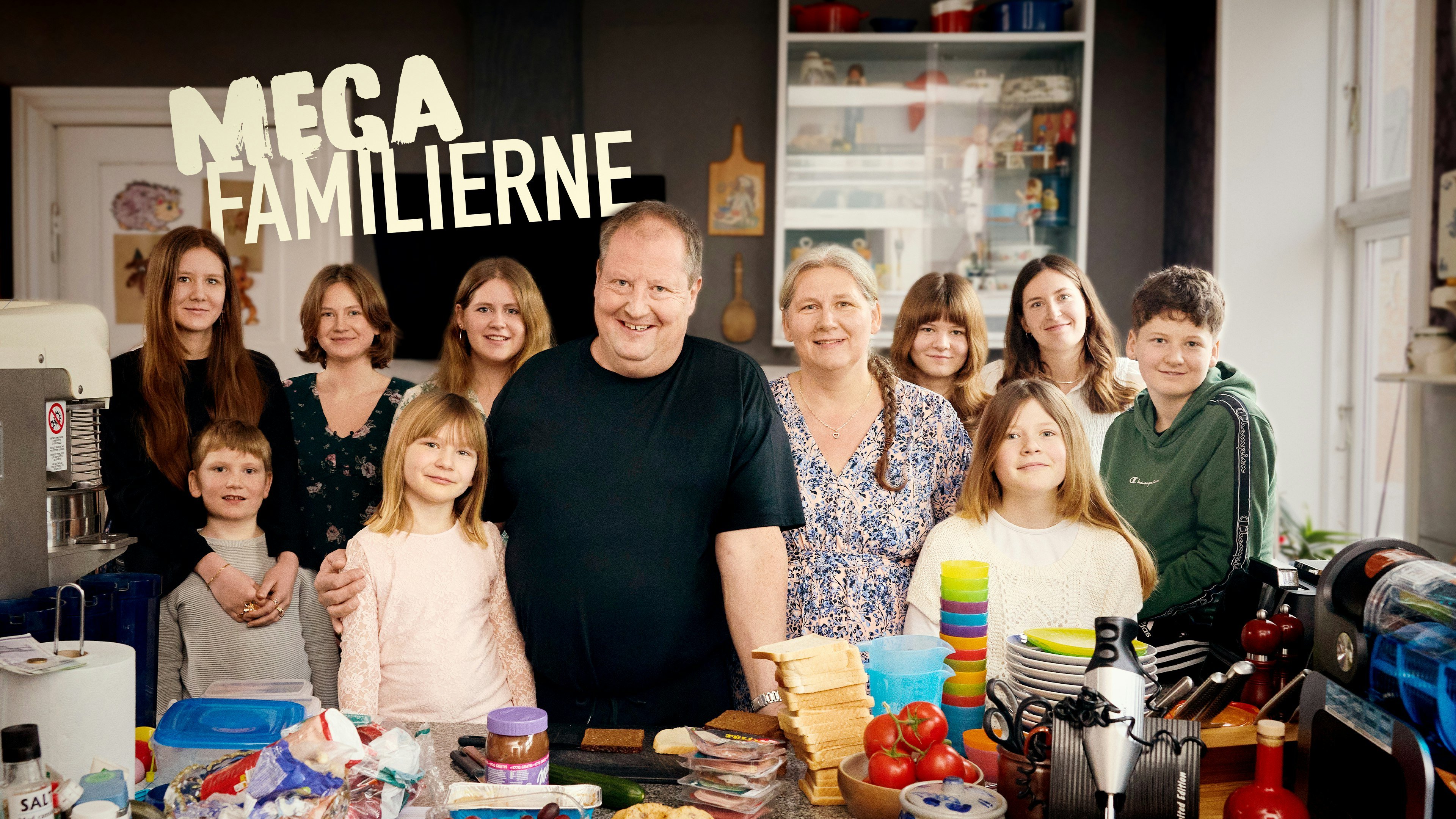 Megafamilierne