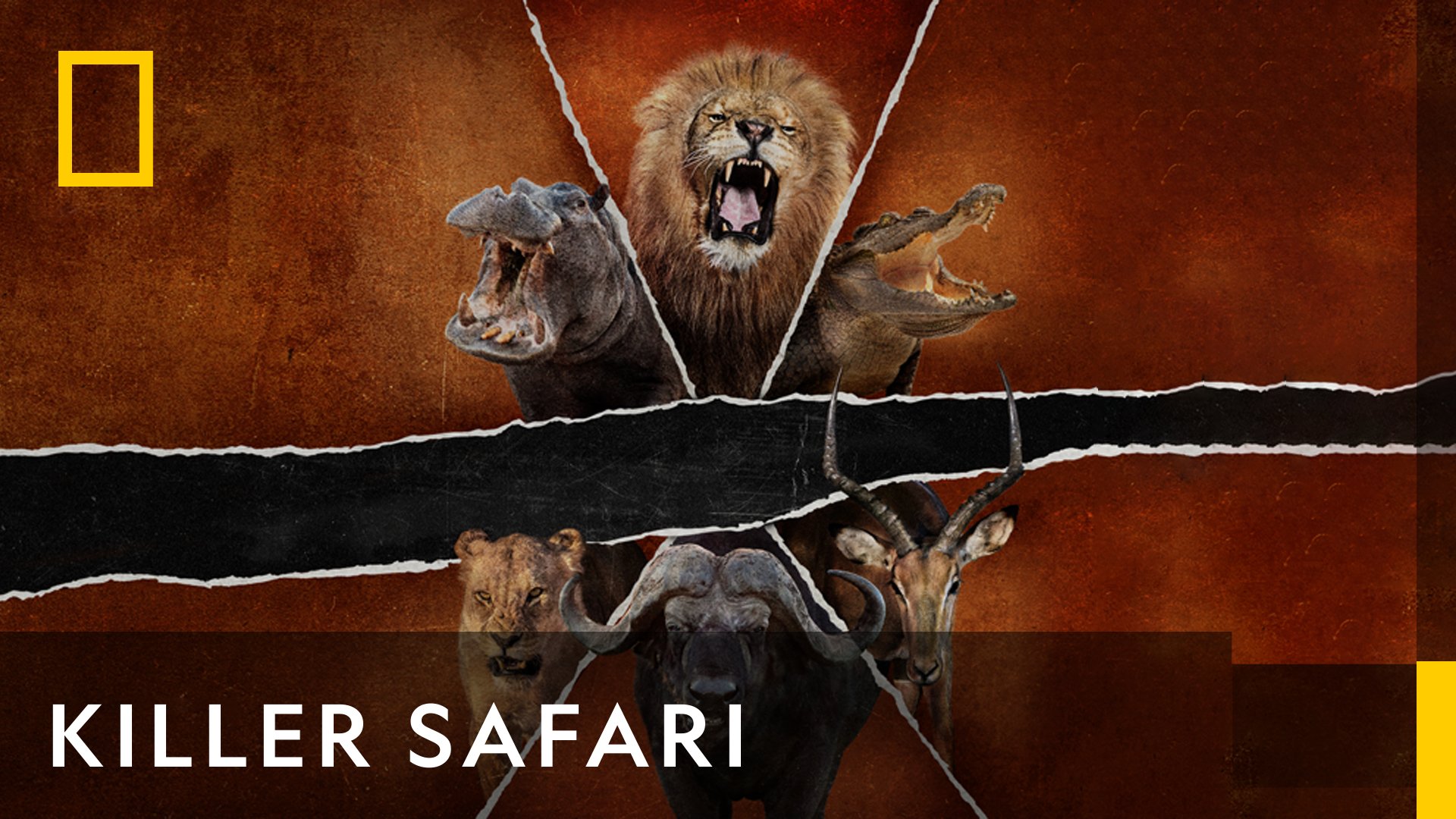 Dræbersafari