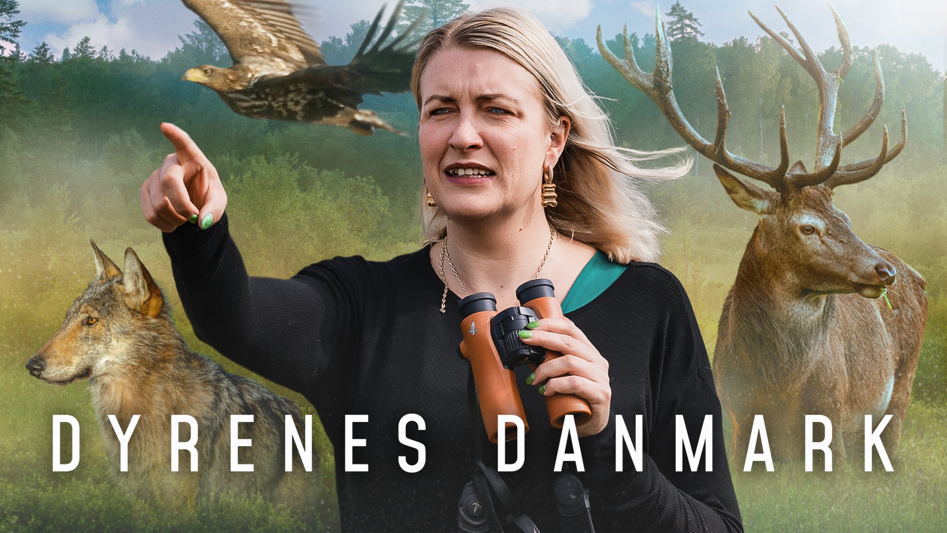 Dyrenes Danmark