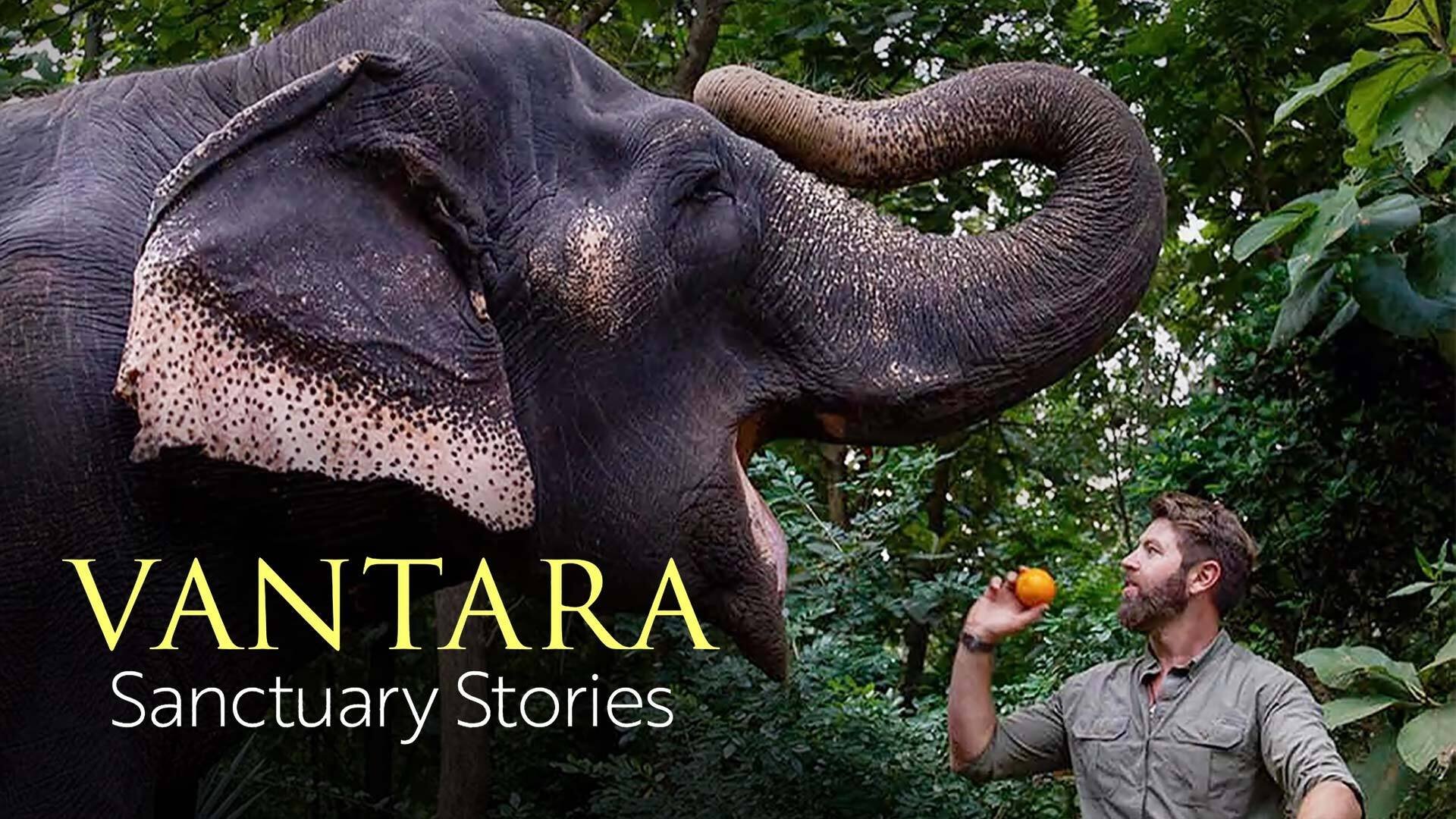 Vantara: Sanctuary Stories