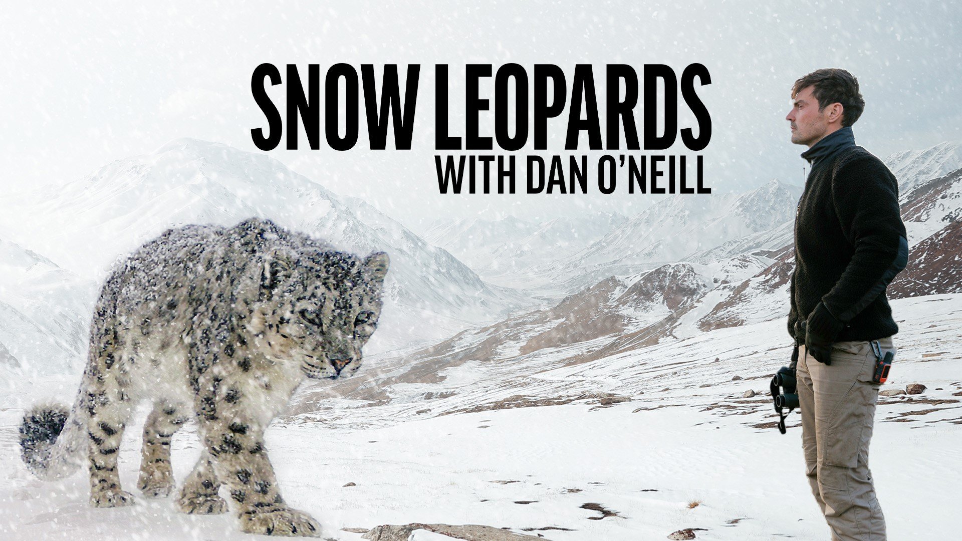 Sneleoparder med Dan O'Neill
